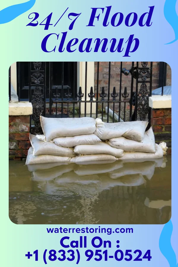 24/7 Flood Cleanup in Des Arc, MO