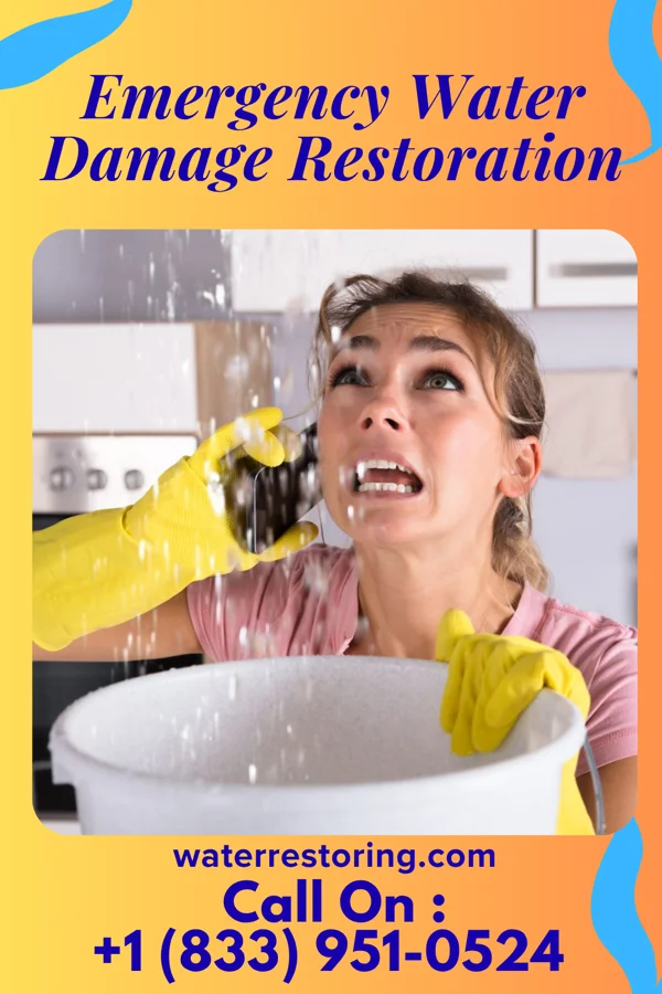Emergency Water Damage Restoration in Des Arc, MO