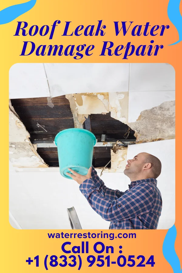 Roof Leak Water Damage Repair in Des Arc, MO