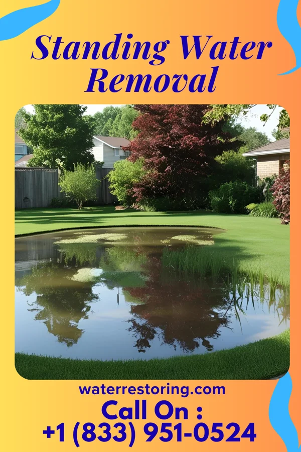 Standing Water Removal in Des Arc, MO